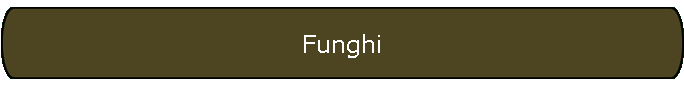 Funghi