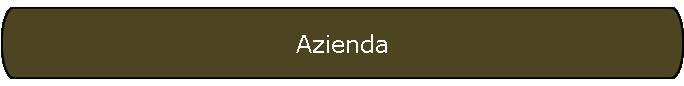 Azienda