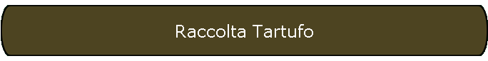 Raccolta Tartufo